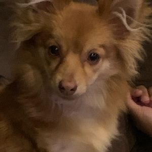 Meet your Posher, Nichole